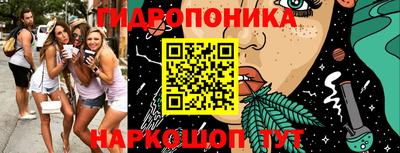 Альфа ПВП Малгобек