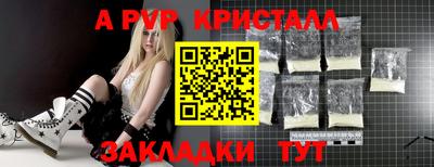 Альфа ПВП Малгобек