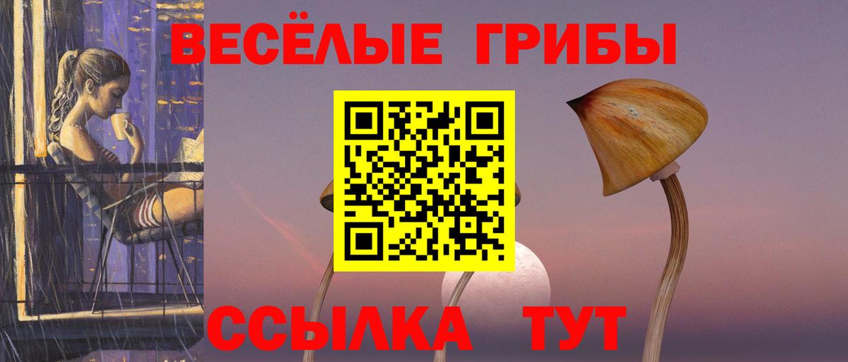 Галлюциногенные грибы MAGIC MUSHROOMS  Вход с VPN  как найти наркотики  Екатеринбург  Псилоцибиновые грибы Psilocybe 